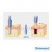 Paramount Biopsy Punch (Sold by box of 10s)